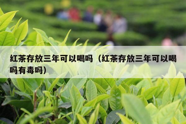 红茶存放三年可以喝吗（红茶存放三年可以喝吗有毒吗）