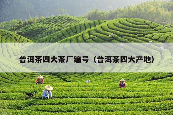 普洱茶四大茶厂编号（普洱茶四大产地）