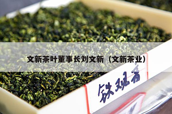 文新茶叶董事长刘文新（文新茶业）