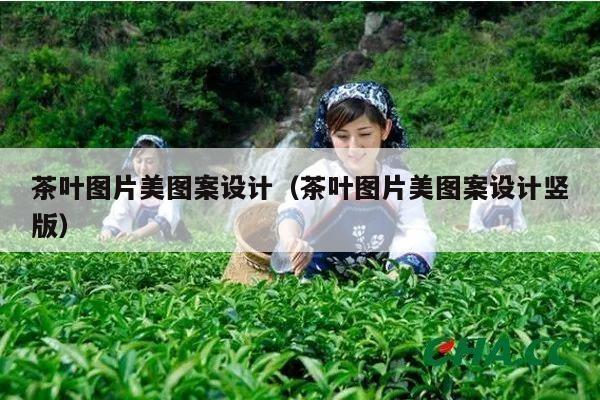 茶叶图片美图案设计（茶叶图片美图案设计竖版）