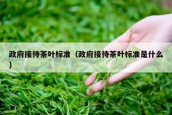 政府接待茶叶标准（政府接待茶叶标准是什么）