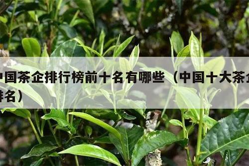 中国茶企排行榜前十名有哪些（中国十大茶企排名）