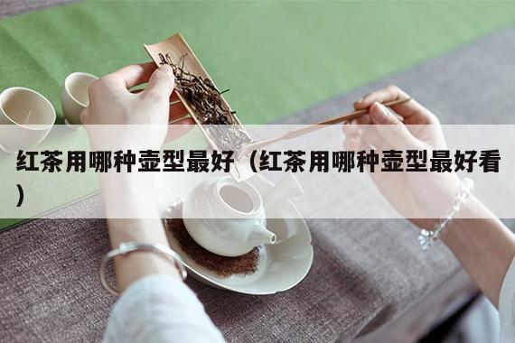 红茶用哪种壶型最好（红茶用哪种壶型最好看）