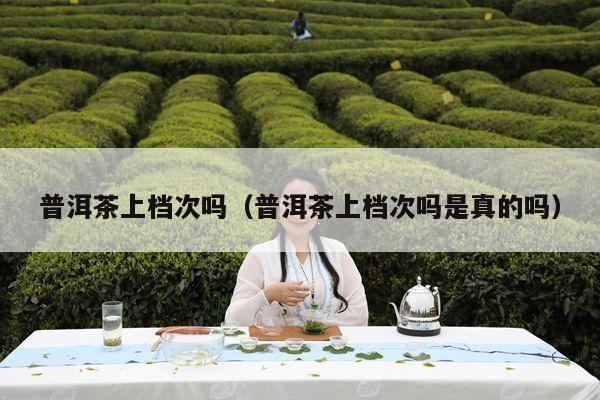 普洱茶上档次吗（普洱茶上档次吗是真的吗）