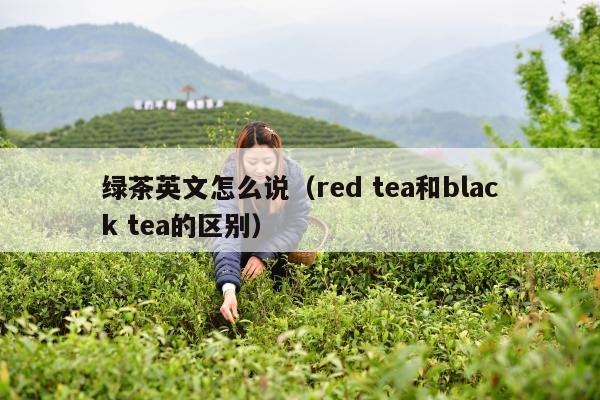 绿茶英文怎么说（red tea和black tea的区别）