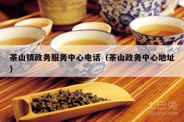 茶山镇政务服务中心电话（茶山政务中心地址）