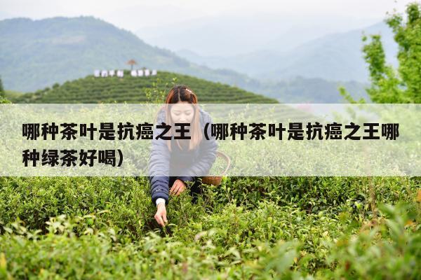 哪种茶叶是抗癌之王（哪种茶叶是抗癌之王哪种绿茶好喝）