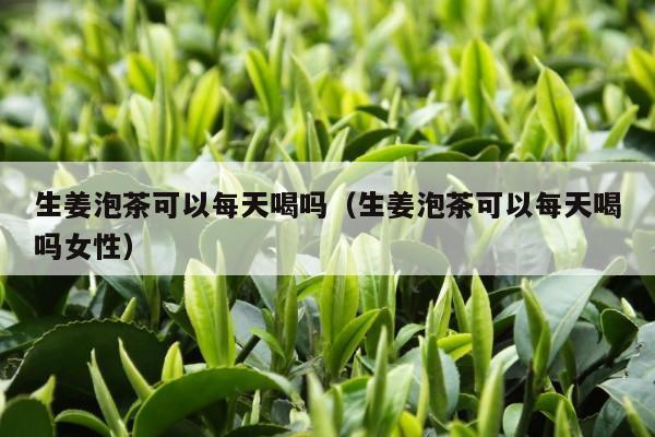 生姜泡茶可以每天喝吗（生姜泡茶可以每天喝吗女性）