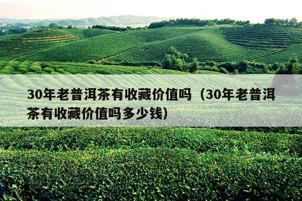 30年老普洱茶有收藏价值吗（30年老普洱茶有收藏价值吗多少钱）