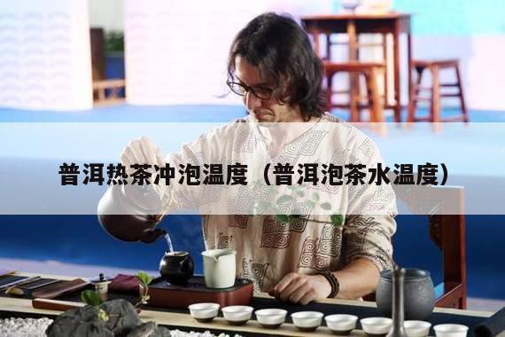 普洱热茶冲泡温度（普洱泡茶水温度）