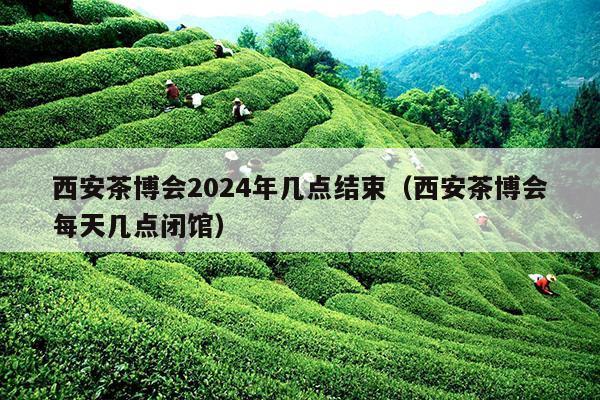 西安茶博会2024年几点结束（西安茶博会每天几点闭馆）