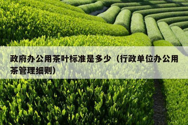 政府办公用茶叶标准是多少（行政单位办公用茶管理细则）