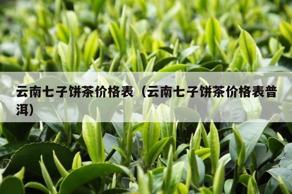 云南七子饼茶价格表（云南七子饼茶价格表普洱）