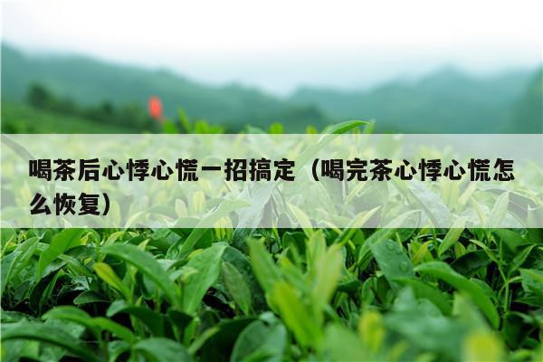 喝茶后心悸心慌一招搞定（喝完茶心悸心慌怎么恢复）