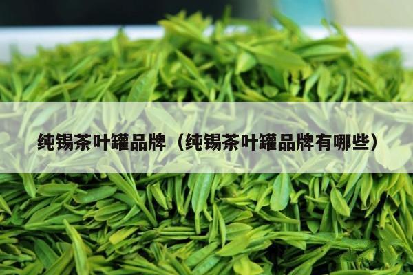 纯锡茶叶罐品牌（纯锡茶叶罐品牌有哪些）