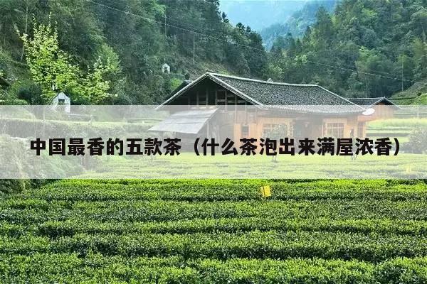 中国最香的五款茶（什么茶泡出来满屋浓香）