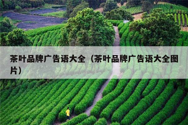 茶叶品牌广告语大全（茶叶品牌广告语大全图片）