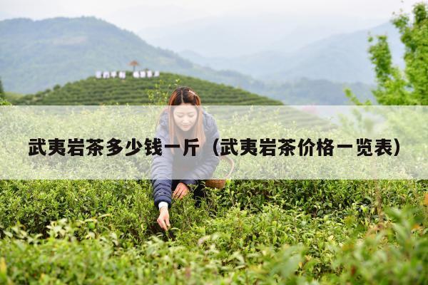 武夷岩茶多少钱一斤（武夷岩茶价格一览表）