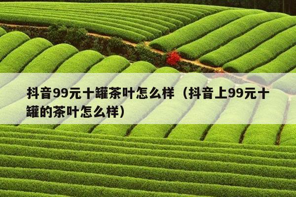 抖音99元十罐茶叶怎么样（抖音上99元十罐的茶叶怎么样）