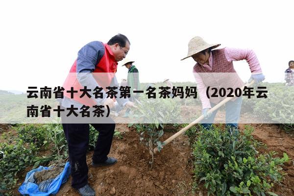 云南省十大名茶第一名茶妈妈（2020年云南省十大名茶）