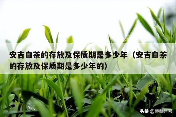 安吉白茶的存放及保质期是多少年（安吉白茶的存放及保质期是多少年的）