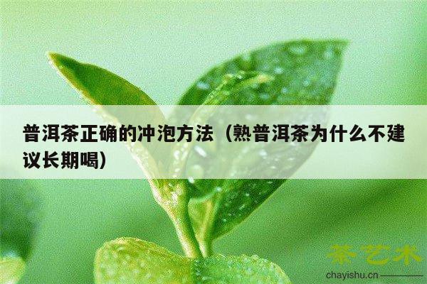 普洱茶正确的冲泡方法（熟普洱茶为什么不建议长期喝）