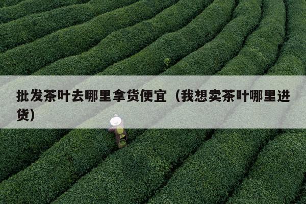 批发茶叶去哪里拿货便宜（我想卖茶叶哪里进货）