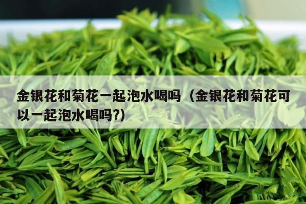 金银花和菊花一起泡水喝吗（金银花和菊花可以一起泡水喝吗?）