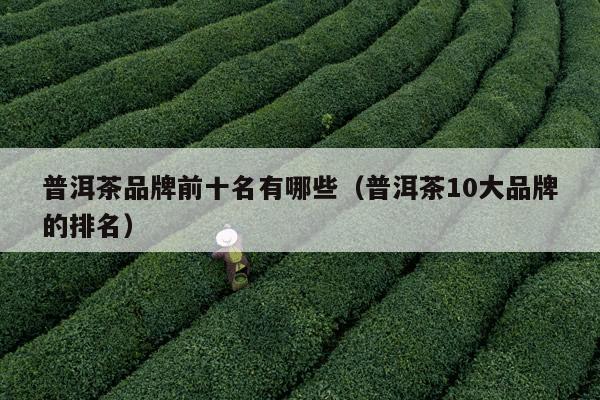 普洱茶品牌前十名有哪些（普洱茶10大品牌的排名）