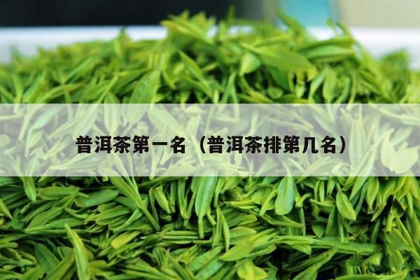 普洱茶第一名（普洱茶排第几名）