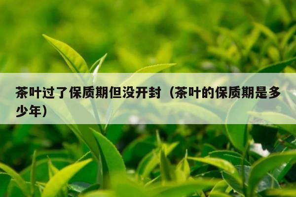 茶叶过了保质期但没开封（茶叶的保质期是多少年）