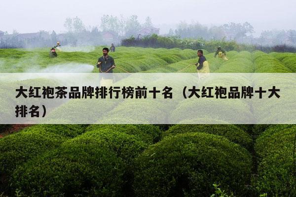 大红袍茶品牌排行榜前十名（大红袍品牌十大排名）