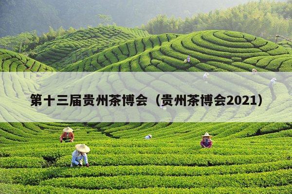 第十三届贵州茶博会（贵州茶博会2021）