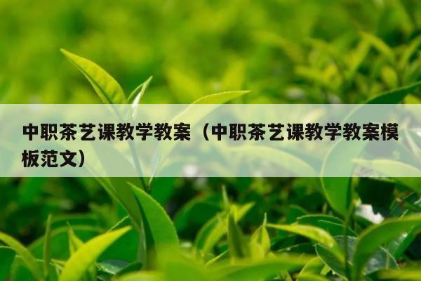 中职茶艺课教学教案（中职茶艺课教学教案模板范文）