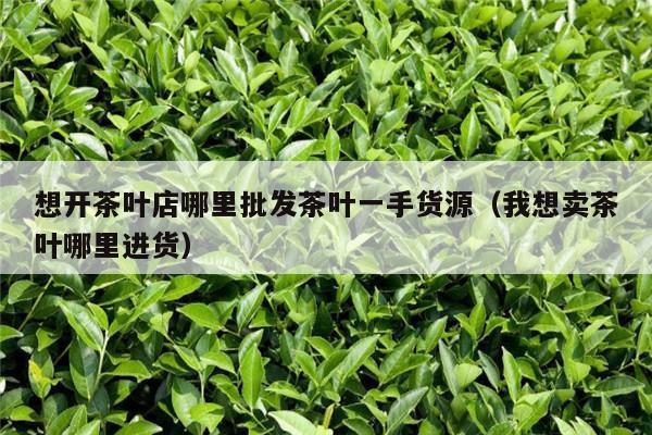 想开茶叶店哪里批发茶叶一手货源（我想卖茶叶哪里进货）