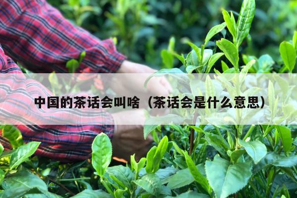 中国的茶话会叫啥（茶话会是什么意思）