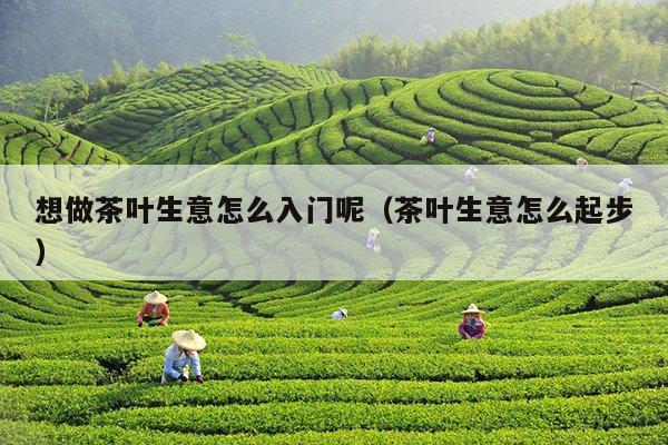 想做茶叶生意怎么入门呢（茶叶生意怎么起步）