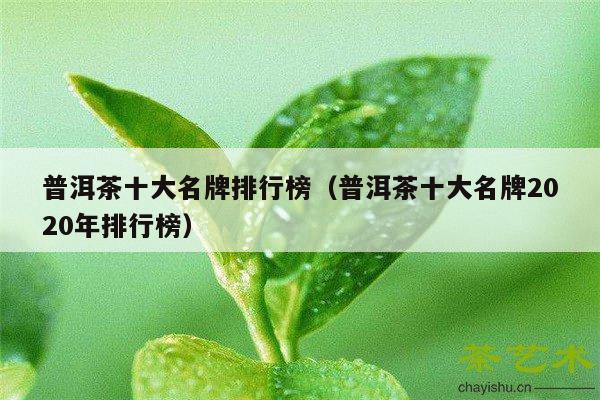 普洱茶十大名牌排行榜（普洱茶十大名牌2020年排行榜）