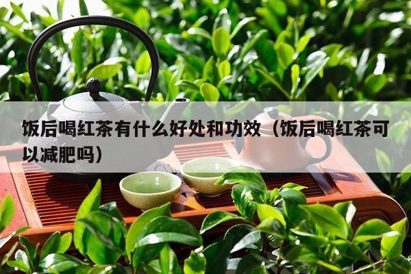 饭后喝红茶有什么好处和功效（饭后喝红茶可以减肥吗）