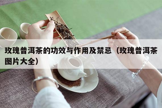 玫瑰普洱茶的功效与作用及禁忌（玫瑰普洱茶图片大全）