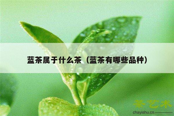 蓝茶属于什么茶（蓝茶有哪些品种）