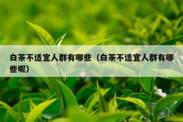 白茶不适宜人群有哪些（白茶不适宜人群有哪些呢）