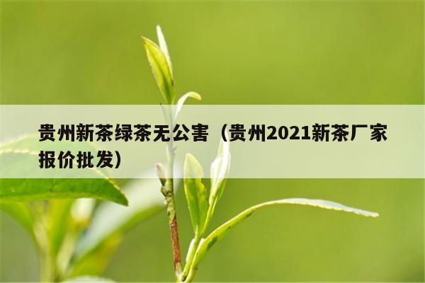 贵州新茶绿茶无公害（贵州2021新茶厂家报价批发）