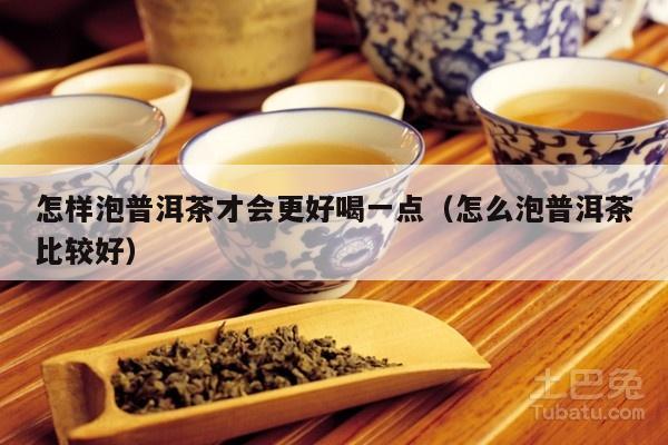 怎样泡普洱茶才会更好喝一点（怎么泡普洱茶比较好）