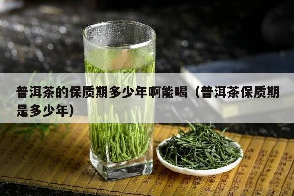 普洱茶的保质期多少年啊能喝（普洱茶保质期是多少年）