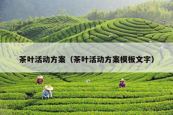 茶叶活动方案（茶叶活动方案模板文字）