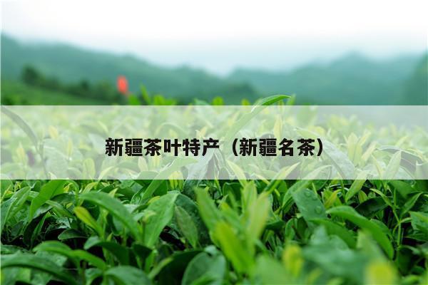 新疆茶叶特产（新疆名茶）