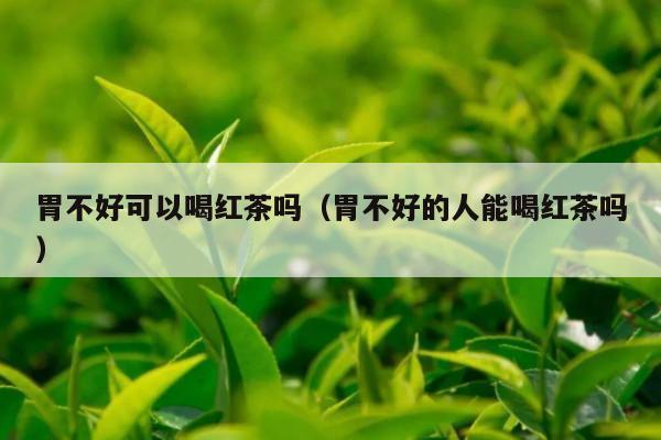 胃不好可以喝红茶吗（胃不好的人能喝红茶吗）