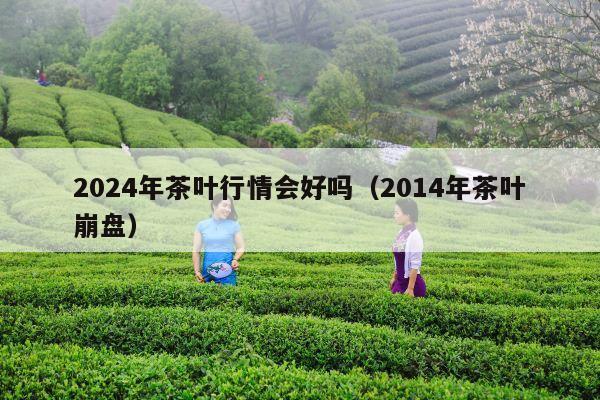 2024年茶叶行情会好吗（2014年茶叶崩盘）