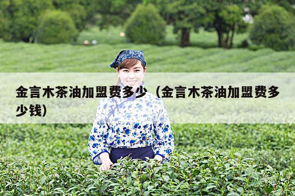 金言木茶油加盟费多少（金言木茶油加盟费多少钱）